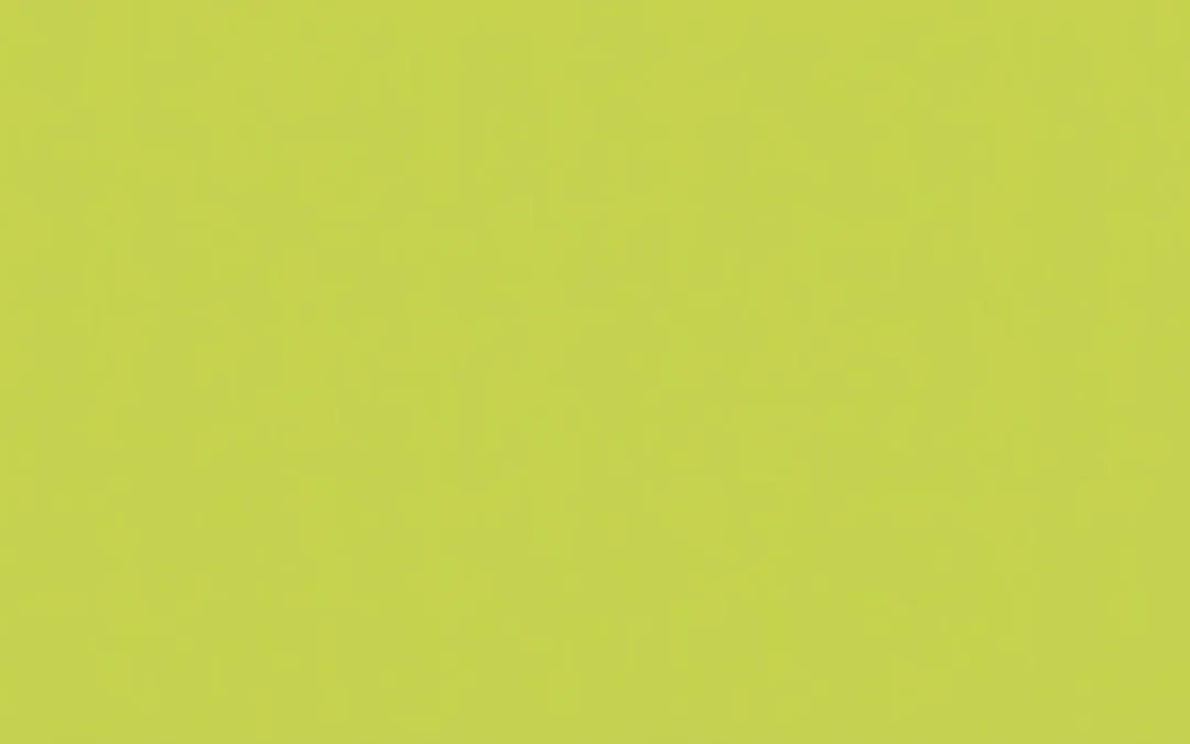 Diseño de webs compatibles con Microsoft Explorer 6 ¿Es necesario?